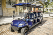 Icon i80 Electric Golfcart 14