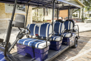Icon i80 Electric Golfcart 15